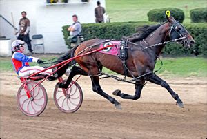 harness racing results|United States Trotting Association.